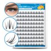 ETVITE Individual Lashes Eyelash Extensions 3D Clusters, Soft Natural Lightweight Handmade, Volume Individual Lashes Daily Use (Fishtail & Spike Lashes 10mm）
