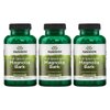 Swanson Magnolia Bark - Herbal Supplement Traditionally Used to Promote Nervous System & Digestive Health Support - May Promote Respiratory Health & Stress Support - (60 Capsules, 400mg Each) 3 Pack