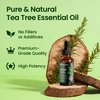 Honeyskin 100% Pure and Natural Tea Tree Oil - Hair Growth Oil and Scalp treatment - Tea tree essential oil for Face, hair, and skin - Aromatherapy essential oil diffuser 1fl.oz (29ml)