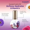 Blossom Hydrating, Moisturizing, Strengthening, Scented Cuticle Oil, Infused with Real Flowers, Made in USA, 0.42 fl. oz, Jasmine