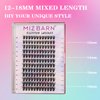 MIZ BARN Lash Clusters 144pcs Lash Extension D Curl Eyelash Clusters, 12-18mm individual Lashes Fluffy False Eyelashes Clusters DIY at Home (D-12-18 MIX)(DIY 06)