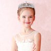 Loetere 12 Pcs Crystal Tiara and Princess Crown with Comb Crown Rhinestone Women Girls Tiara Headpiece Queen Hair Accessories for Birthday Party Wedding Prom Halloween Cosplay Costume(Silver, Silver)
