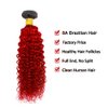 22 24 26 inch Red Bundles Human Hair 1b/Red Kinky Curly Human Hair Bundles Ombre Red Curly Wave Bundles 8A Brazilian Remy Red Human Hair Extensions