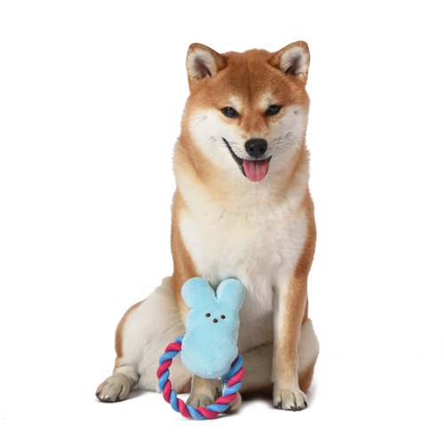 Peeps for Pets Bunny 6 Inch Blue Plush Rope Pull Toy for Dogs | Blue Dog Toy from Peeps, Plush Fabric Dog Toys | Small Squeaker Dog Toy with Rope (FF16024)