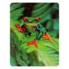 3D Wildlife Collector's Cards - Holographic Lenticular Motion - Pack Of 24 Cards.