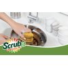SCRUBIT Natural Scouring Pads, Eco Friendly Scrubbing Sponges for Kitchen Cleaning and Dishes, Non-Scratch Dish Scrubber with Easy-Grip Sponge Handle - Biodegradable - 2 Pack