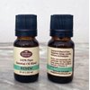 Fabulous Frannie Renew Essential Oil Blend 100% Pure, Undiluted Essential Oil Blend Clove, Peppermint, Orange, Lavender, Rosemary and Eucalyptus Essential Oil 10ml