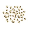 UUYYEO 30 Pcs Tiny Resin Bees Small Resin Honeybee Nail Charms Bumblebee Flatbacks Ornaments Embellishments Nail Art Decorations Yellow