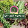 Nature's Answer Periobrite Whitening Toothpaste | Soothes & Refreshes | Gluten-Free, Flouride-Free Soy-Free & Vegetarian | Not Tested On Animals | No Artificial Sweetners or Preservatives 4oz