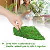 DUSPRO 2Pcs 10x7 Inches Sheet Moss for Potted Plants, Florist Moss for Plants Indoor, Green Moss for Planters, Moss Sheets for Crafts, Preserved Moss Wall Art, DIY Project