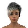 Wiginway 6'' Short Straight Wig for Women Ombre Gray Black Wigs Side Bangs Layered Punk Nightclub Party Wigs