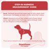 Downtown Pet Supply Step in Dog Harness for Small Dogs No Pull, Medium, Bermuda Blue - Adjustable Harness with Padded Mesh Fabric and Reflective Trim - Buckle Strap Harness for Dogs