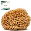 Naroa Soft Natural Sponge | Gentle Sea Sponge for Bathing Healthy Skin | Unbleached Shower Body Scrubber Puff | Eco Friendly Bath Spa Sponge (Soft - Small)