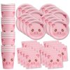 Pig Birthday Party Supplies Set Plates Napkins Cups Tableware Kit for 16