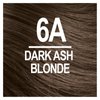 Naturtint Permanent Hair Color 6A Dark Ash Blonde (Pack of 1), Ammonia Free, Vegan, Cruelty Free, up to 100% Gray Coverage, Long Lasting Results (Packaging may vary)