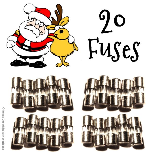 20 Christmas Mini Light Strings Replacement Glass Fuses 3A 3 Amp 110V 125V (20pcs) - size is 3.6 x 10 mm/ 0.14 x 0.39 Inch