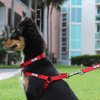 Pawtitas Solid Color Step in Dog Harness or Vest Harness Dog Training Walking of Your Puppy Harness Small Dog Harness Black Dog Harness
