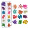 3D Nail Dried Flowers Sticker Set CHANGAR Real Dried Flowers for Nail Art & Resin Craft DIY Five Petal Flower Leaf Gypsophila Dry Flower Nail Art Decoration Kits(2 Boxes)