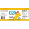 Amino H20 (BCAA Supplement | Natural Energy | Zero Caffeine | Zero Sugar | Zero Calories | Natural Recovery | Zero Glutan | Zero Carbs | Zero Animal Products)