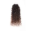 Aipin Goddess Locs Crochet Hair 14 Inch River Locs Boho Hippie Locs Wavy Crochet With Curly Hair In Middle And Ends Braids Hair Extensions (7Packs,14 inch, T30)