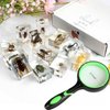 12 Pcs Insect Resin Specimen, Bugs Collection Resin Animal Taxidermy Paperweights Kit Science Education Classroom Specimen with Magnifying Glass for Kids Children's Day Gift