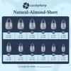 Short Almond Nail Tips, 240pcs Soft Gel X Nail Tips Pre-Shaped Acrylic Fake Nails, Half Matte Full Cover Clear Gelly Press on Flase Nail Tips for Extension Nail Manicure Home DIY 12 Sizes Gelly Tips