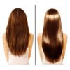 Difeel Superior Growth Jamaican Black Castor Shampoo 12 oz. - Sulfate Free Shampoo made with Natural Ingredients