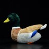 lilizzhoumax Mallard Duck Stuffed Animal,Realistic Duck Plush,Super Soft Plush,Toys for Kids,Figure Toy,Girl Toys,Gift for Kids,Duck Pillow,Home Decor(Green 12.2 inch)