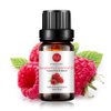 Raspberry Essential Oil, 100% Pure Organic Natural Aromatherapy Raspberry Oil for Diffuser, Massage, Yoga, Meditation, Bath, Skin Care (10ml)
