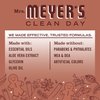 MRS. MEYER'S CLEAN DAY Gingerbread 2 Pack Variety, Liquid Hand Soap 12.5 FL OZ, Dish Soap 16 FL OZ, 1 CT