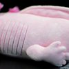 ZHONGXIN MADE Axolotl Plush Toy - 20" Pink Axolotl Fish Lizard Creepy Stuffed Animals Cute Pink Reptilian Toys Real Plushie Toy, Unique Plush Gift Collection for Kids