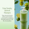 Lime Sunday Refresh Shampoo with Vitamin C, Green Mint, Almond Powder for Gentle Exfoliation and Deep Cleansing Oily Scalp, Lime Citrus Scent, Silicone, Sulfate & Paraben Free (450ml / 15.22 fl.Oz)