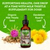 Animal Essentials Liver Defense-Herbal Formula for Dogs & Cats, Maintain Healthy Liver Function, Sweet Taste, 100% Organic Human Grade Herbs, Veterinarian Recommended Animal Wellness Tonics - 1 Fl Oz