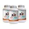 dog joint supplement chews senior wellness - DOG HIP AND JOINT COMPLEX - VET APPROVED - POWERFUL FORMULA - IMMUNE SUPPORT - INCREASE JOINT MOBILITY - natural vitamin c for dogs - 3 Bottle (360 Tablets