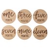 Kate & Milo Baby Monthly Milestone Marker Discs, Reversible Photo Props, Baby Growth and Pregnancy Growth Cards, 1-12 Months, Gender-Neutral Gift, Classic Cursive Script Wooden Discs