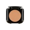 Palladio Dual Wet and Dry Foundation with sponge and Mirror, Squalane Infused, Apply Wet for Maximum Coverage or Dry for Light Finishing and Touchup, Minimizes Fine Line, All day Wear, Cypress Beige