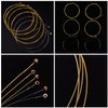 Bememo 2 Sets of 6 Guitar Strings Replacement Steel String for Acoustic Guitar (1 Yellow Set and 1 Multicolor Set)