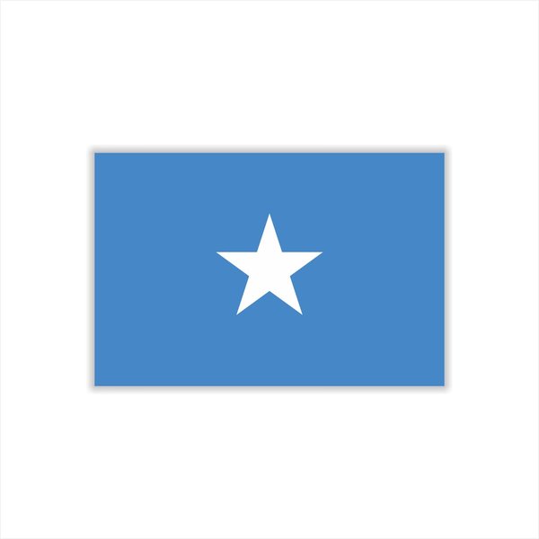 Womaha 30 Temporary Somalia Flag Tattoos Fans Face Tattoo Stickers for Adults Kids Group Activity Props