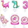 Pink Dinosaur Party Supplies For Girls 3rd Birthday Decorations Pink Three Inspired Rex Dinosaur Balloons Banner Dino Cake Topper Cupcake Toppers Girls 3rd Pink Dinosaur Decor