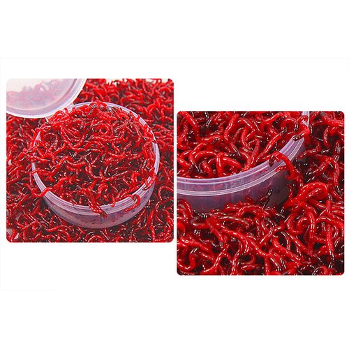 ONLYKXY 1.6 inch Diameter, 2 inch Diameter, 2.5 inch Diameter, Transparent Plastic Fishing Bait Box, Round Worm Boxes, Fishing Lures Storage, Fishing Live Baits Container, Small Storage Case