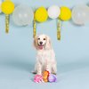 Fringe Studio Plush Dog Toy Set, IT’S A WATERFUL Life, 3 Piece Set, for Small Dogs (662009), Multicolor