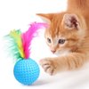 Cat Feather Ball Toys Interactive Golf Balls Assorted Kitten Squeaky Chasing Toy Pack of 24 (Random Color)