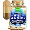 MAJU 4-in-1 Organic Sea Moss Capsules, Wild Chondrus Crispus, Seamoss w/Bladderwrack + Burdock Root, Stronger Than Gel, Irish, Sebi Inspired Raw Powder in Pills, 500 mg Capsule (60 ct)