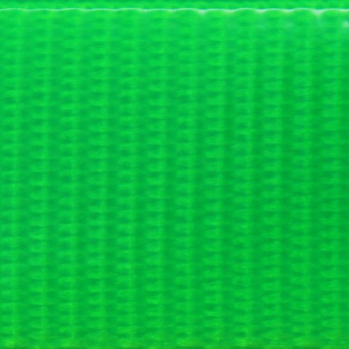 Outdoor Dog Supply's 1" Wide Solid Ring in Center Dog Collar Strap with Custom Brass Name Plate (18" Long, Lime Green)