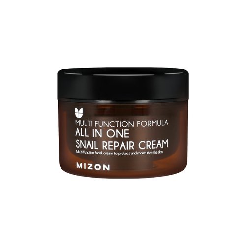 MIZON All in One Snail Repair Cream, Snail Mucin with 12 Natural Extracts, Centella Asiatica, Hyaluronic Acid, Recovery Cream, Korean Skincare, Wrinkle & Blemish Care (4.06 fl oz)