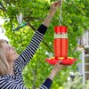 Hummingbird Feeder, Hummingbird Feeders for Outdoors Hanging ant and Bee Proof, Humming Birds Feeders for Outside, Plastic Hummingbird Feeder, Humming Bird Feeder, Hummingbird Feeder ant Guard 23 OZ