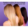 1.1 Pound Tub (17.6 Ounce) Perfect Blond Extra Strength Professional Hair Dye Toner Lightener Bleach - Made in Italy
