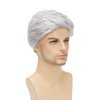 Sabosi Men's White Wigs Short Wigs Natural Looking Heat Resistant Synthetic Hair with Adjustable Cap 180g