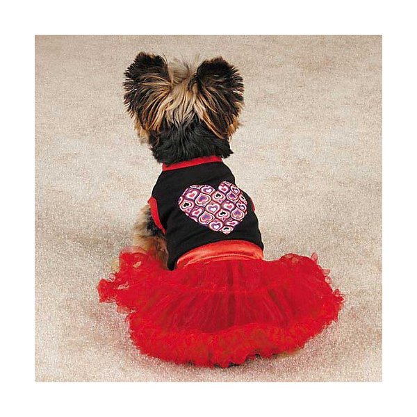 East Side Collection ZM5084 08 83 Full of Heart Tutu Dress for Dogs, XX-Small, Red