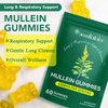 2 Pack Mullein Gummies for Lung Detox, Mullein Herbal Supplement, 2000mg Mullein Leaf Extract for Respiratory & Digestive & Immune Support